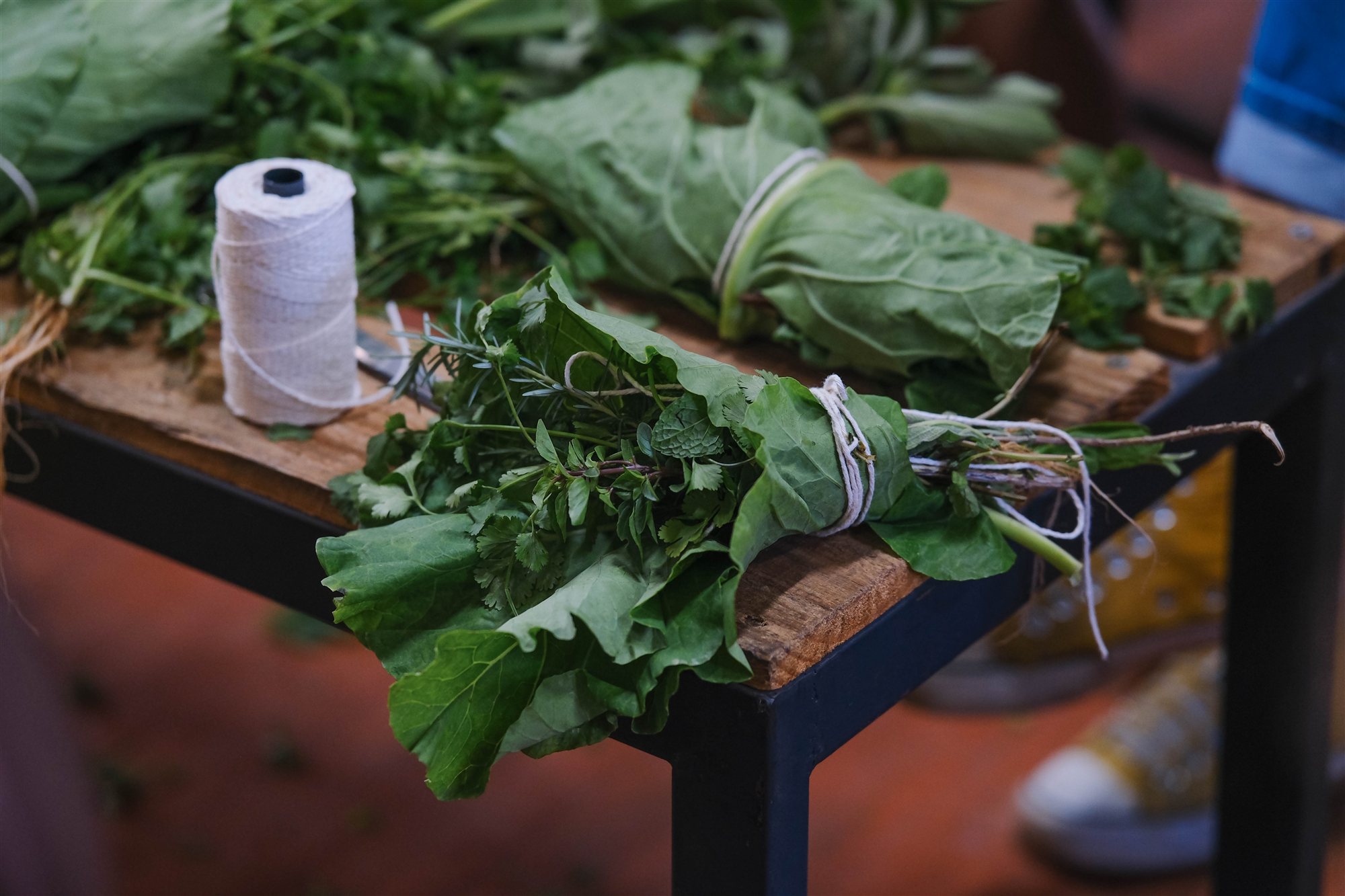 Registro da ação Agroecologia